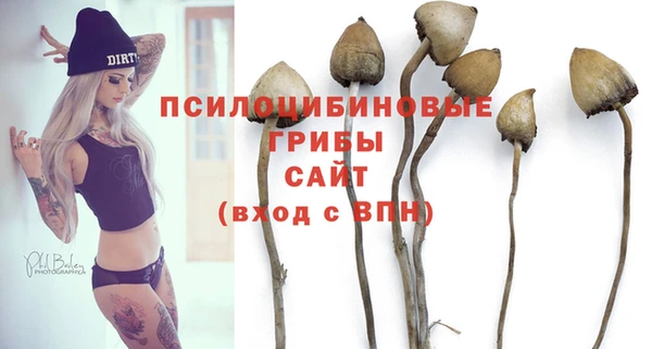 прущая мука Лабытнанги