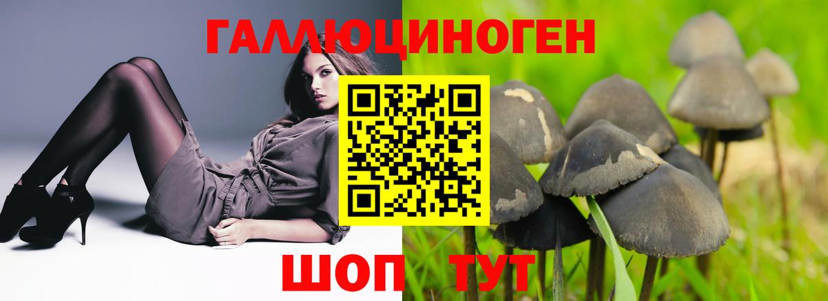 Псилоцибиновые грибы GOLDEN TEACHER  Вход с VPN  Лосино-Петровский 