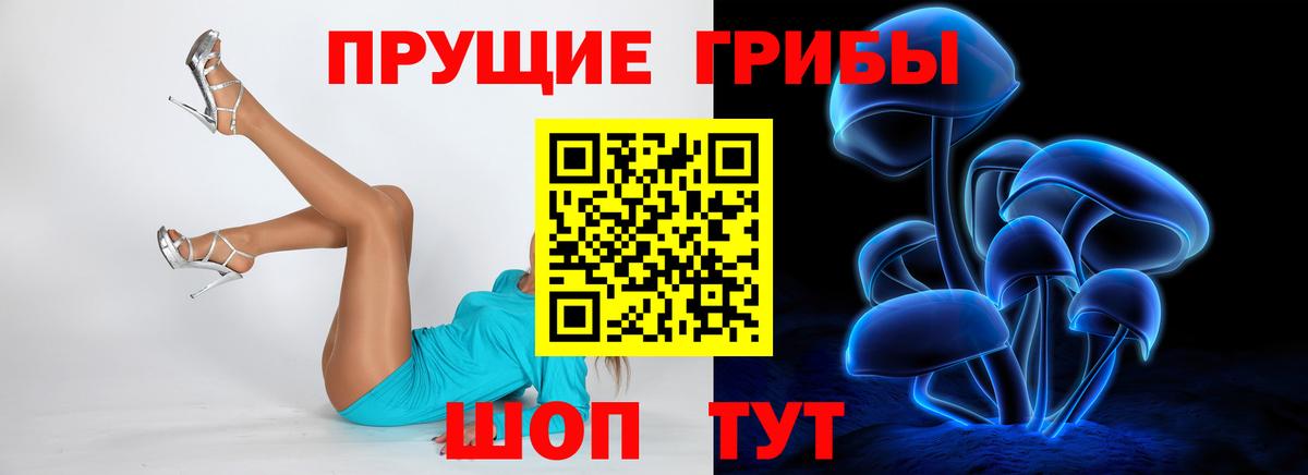 Псилоцибиновые грибы Psilocybe Лосино-Петровский